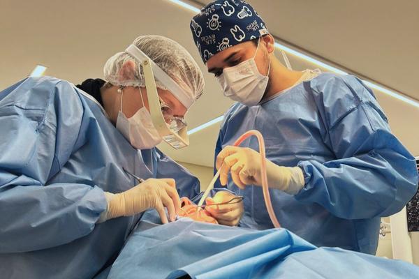 Imagem do curso: Especialização em Implantodontia com ênfase em Prótese sobre Implante e Cirurgia Guiada